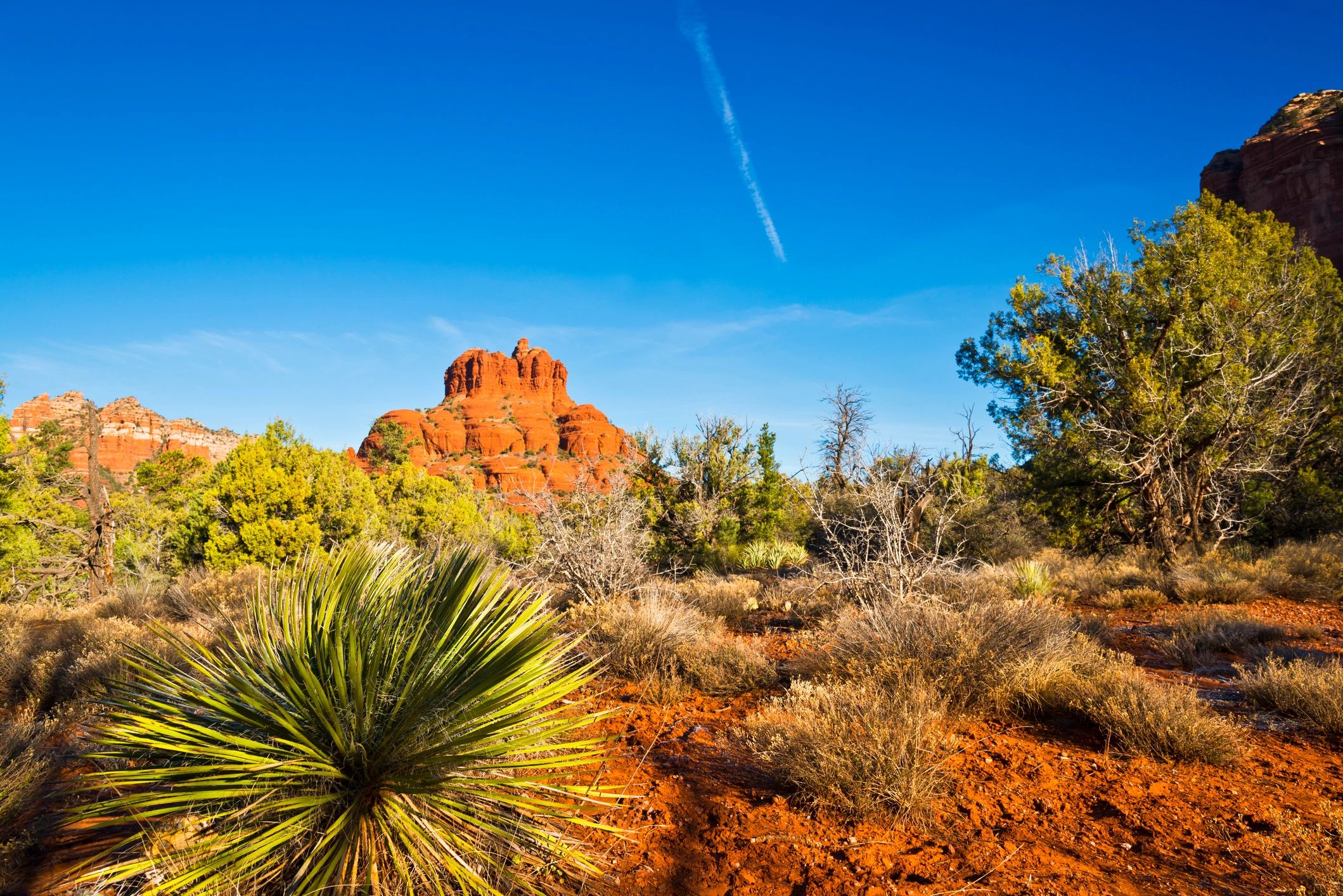 Cave Creek & Carefree Arizona — Slingshot adventure
