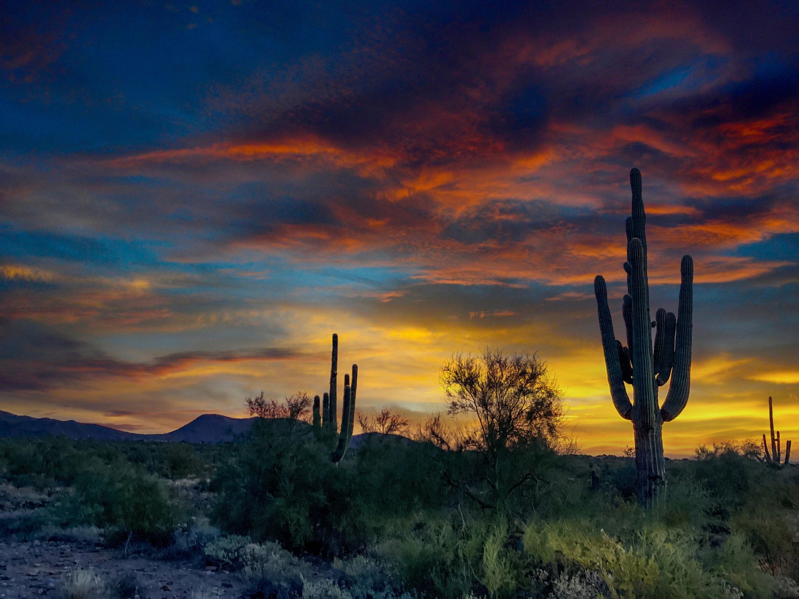 Arizona desert road — Scottsdale Slingshots founder story