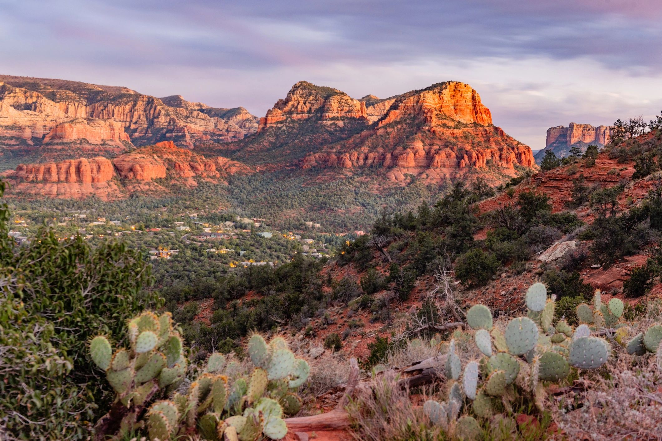 Scottsdale Slingshot open-air adventure — the ultimate Arizona experience